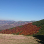 Stara planina (5)